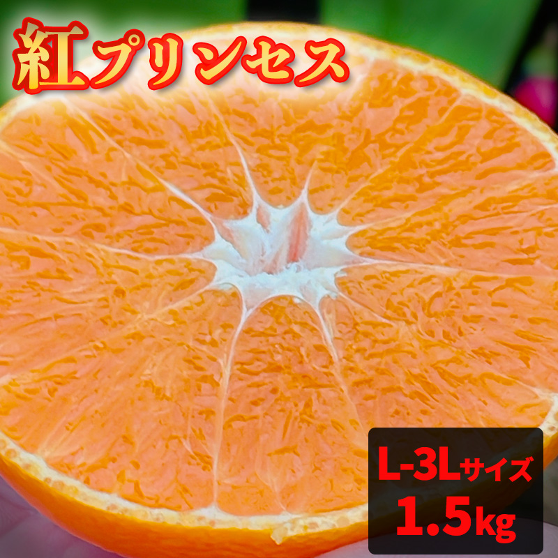 愛媛県産 紅プリンセス L～3Lサイズ 2.5kg （ 国産 愛媛みかん 愛媛ミカン みかん ミカン mikan 蜜柑 柑橘 フルーツ 果物 くだもの お取り寄せ 産地直送 数量限定 人気 おすすめ 愛媛県 松山市 送料無料 フジ・アグリフーズ ）