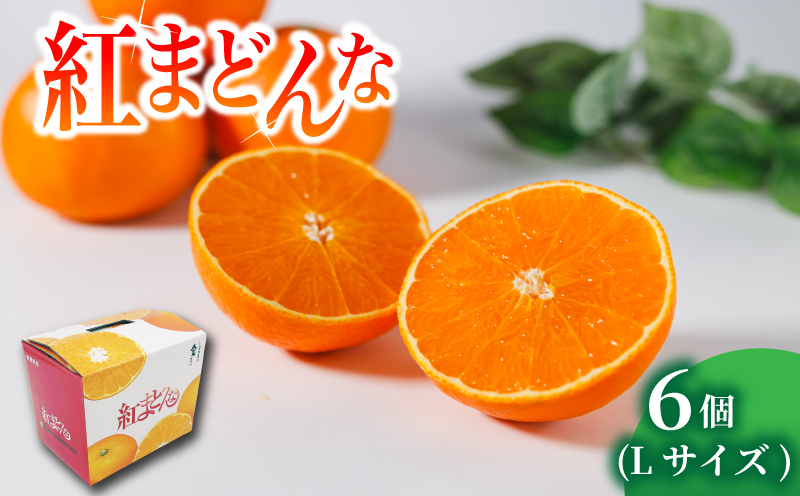 紅まどんな L サイズ 6 個  | 紅まどんな 柑橘 フルーツ まどんな みかん 愛媛 みかん 紅マドンナ 蜜柑 紅まどんな 愛媛県 松山市