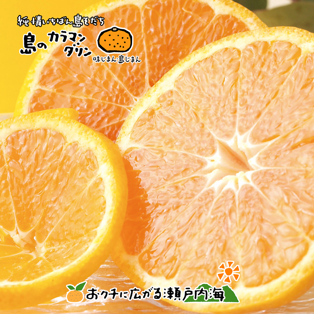 【2026年5月上旬から発送予定】完熟春みかん カラマンダリン 2kg  M~2Lサイズ 2kg ¥8,000