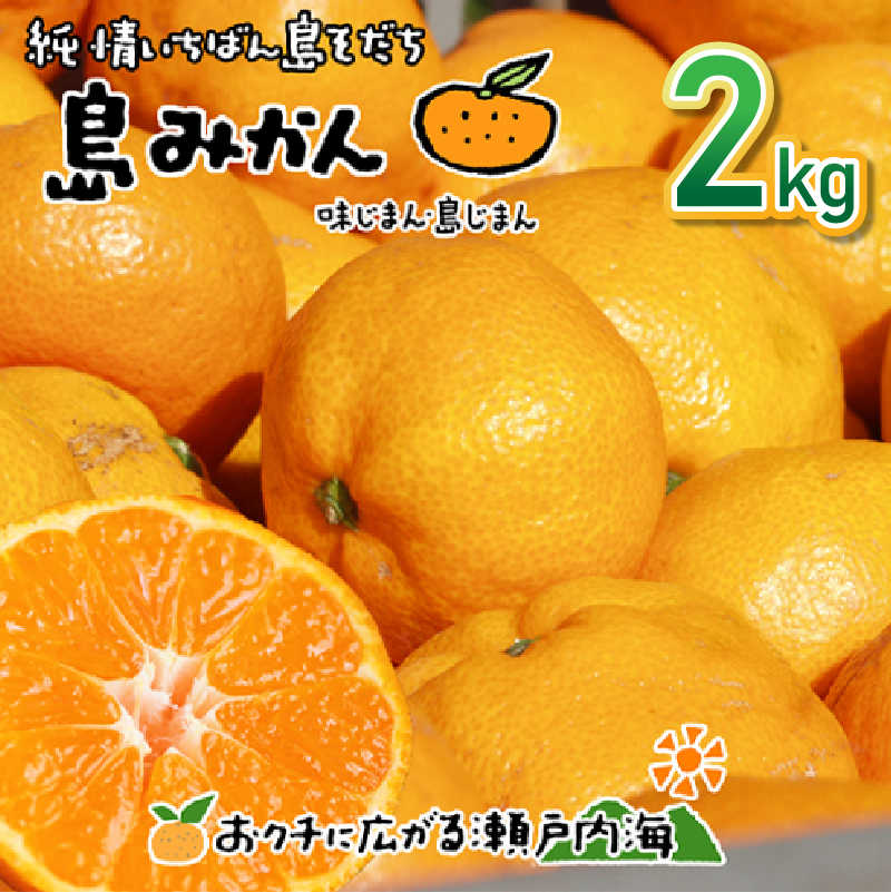 【11月下旬頃から発送予定】温州みかん 2kg 愛媛 中島産 希望の島 家庭用 みかん 柑橘 2kg ?6,000