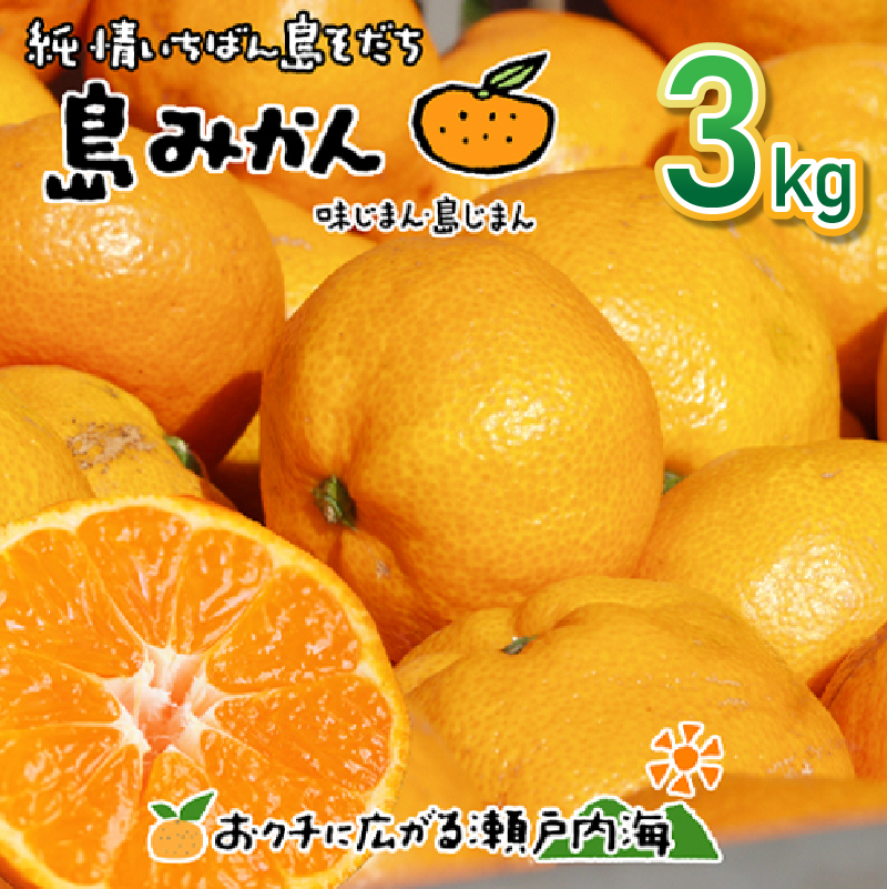 【11月下旬頃から発送予定】温州みかん 3kg 愛媛 中島産 希望の島 家庭用 みかん 柑橘 3kg ?8,000