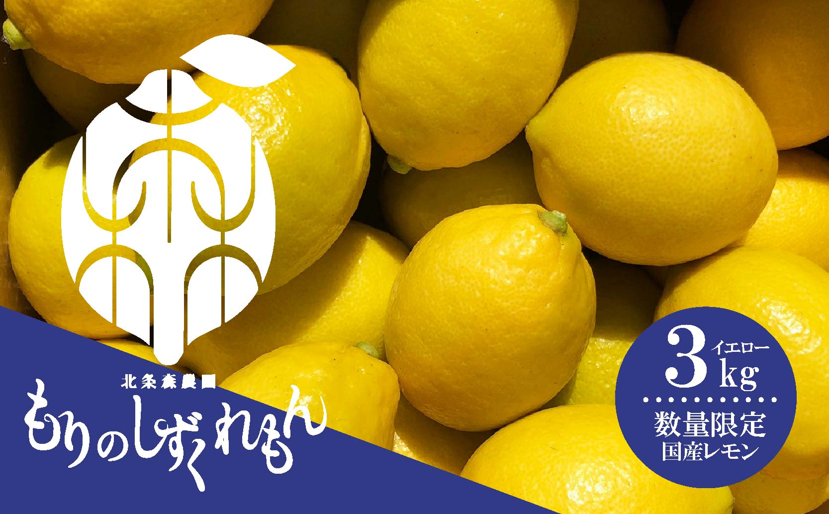 【先行予約 2026年1月上旬から発送予定】数量限定 もりのしずくレモン イエローレモン 3kg 国産 レモン 国産イエローレモン3kg