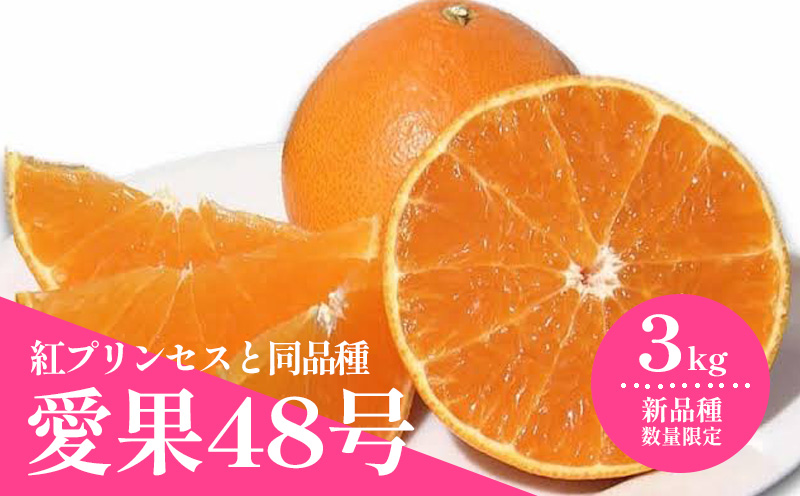 【先行予約 2026年3月上旬から発送】 数量限定 愛果48号 約3kg