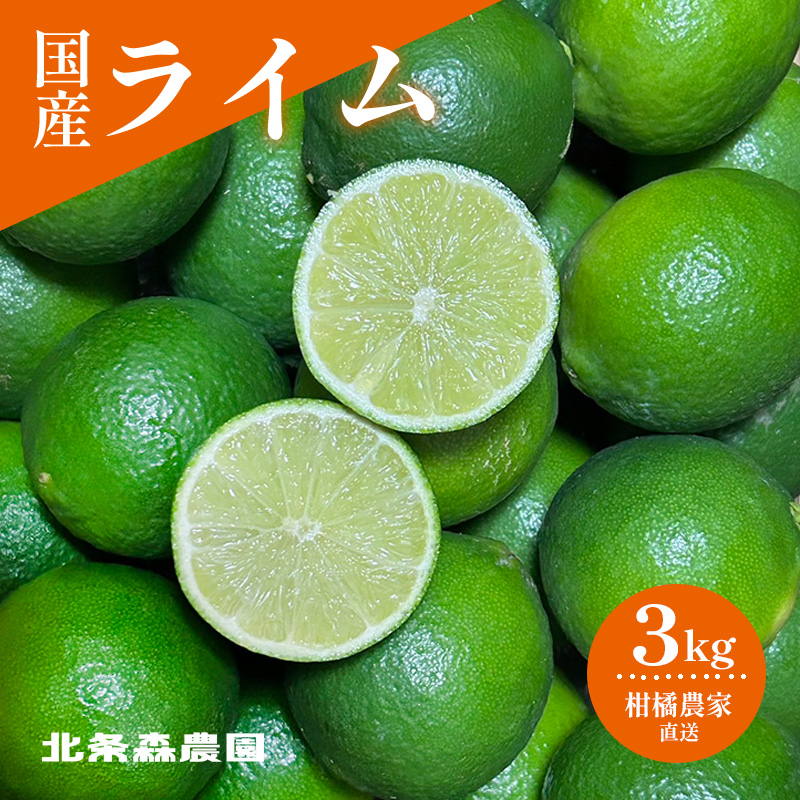 さわやか果実 ライム 約3kg | ライム みかん 柑橘 国産ライム ジュース カクテル スイーツ サラダ 愛媛 松山 北条 果物 フルーツ 産地直送 ライム 約3kg