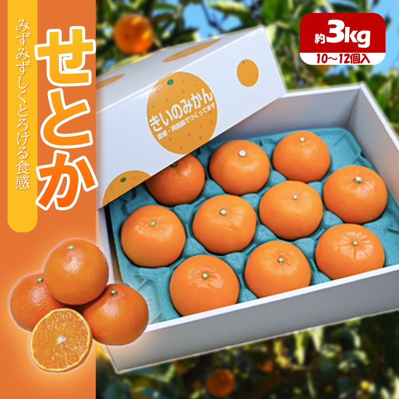 せとか 約3kg＜3月上旬から発送開始＞