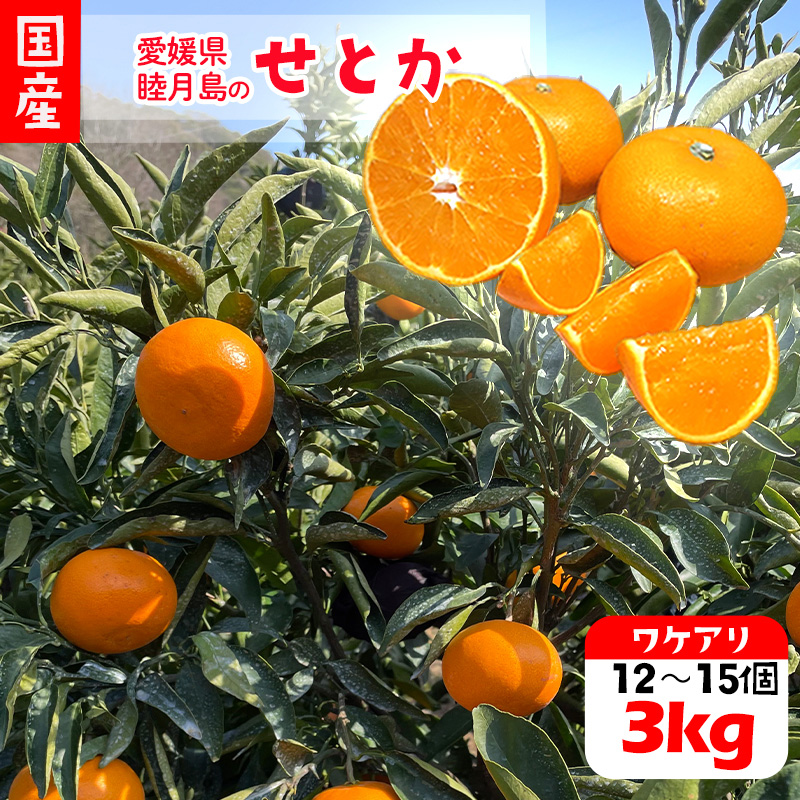 【先行予約】せとか 訳あり 約3kg