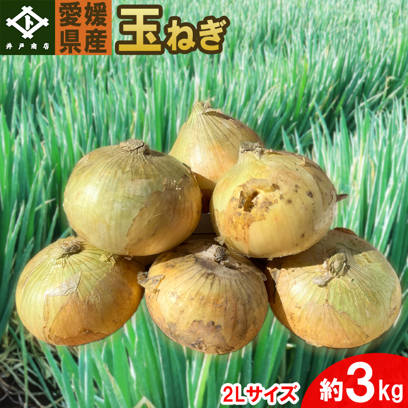 玉ねぎ 約 3kg 約3kg