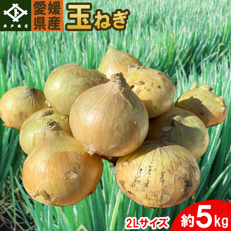 玉ねぎ 約 5kg 約5kg