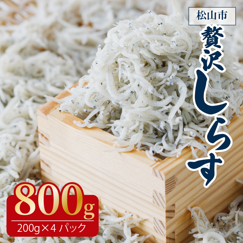 しらす 【IY0011】たっぷり愛媛県産贅沢しらす 200g×4 魚 魚介 魚介類 しらす ちりめん おにぎり パスタ ピザ 丼 愛媛県松山市 愛媛県 松山市 愛媛 松山 冷凍 800g(200g×4)