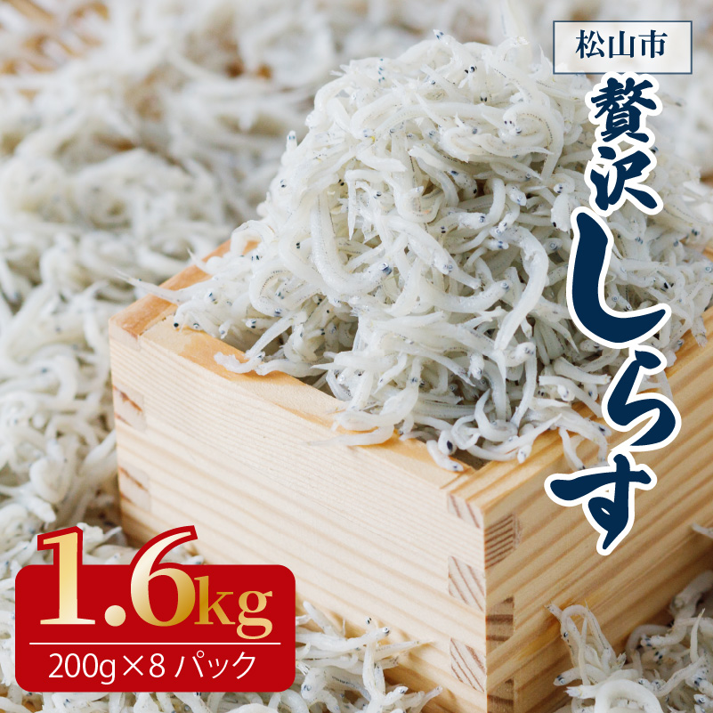 たっぷり 大容量 愛媛県産 贅沢 旬 しらす 200g×8 魚 魚介 魚介類 しらす ちりめん おにぎり パスタ ピザ 丼 愛媛県松山市 愛媛県 松山市 愛媛 松山 冷凍 1.6kg(200g×8)