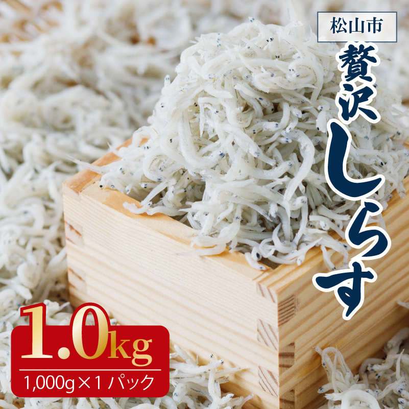 たっぷり 大容量 愛媛県産 贅沢 旬 しらす 1kg 魚 魚介 魚介類 しらす ちりめん おにぎり パスタ ピザ 丼 愛媛県松山市 愛媛県 松山市 愛媛 松山 冷凍 1.0kg(1,000g×1)