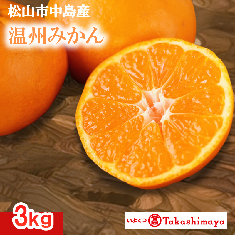 【2024年12月から発送】松山市中島産　温州みかん　約３ｋｇ