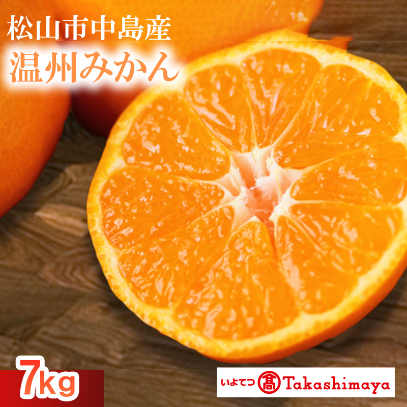【2024年12月から発送】松山市中島産　温州みかん　約７ｋｇ