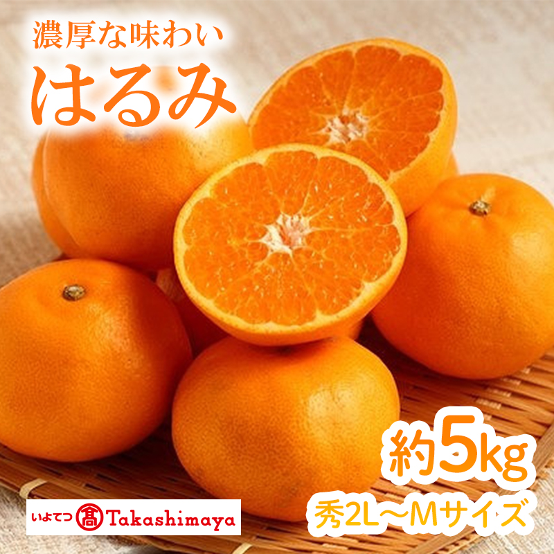 【2月上旬から発送】愛媛県産　はるみ　約５ｋｇ