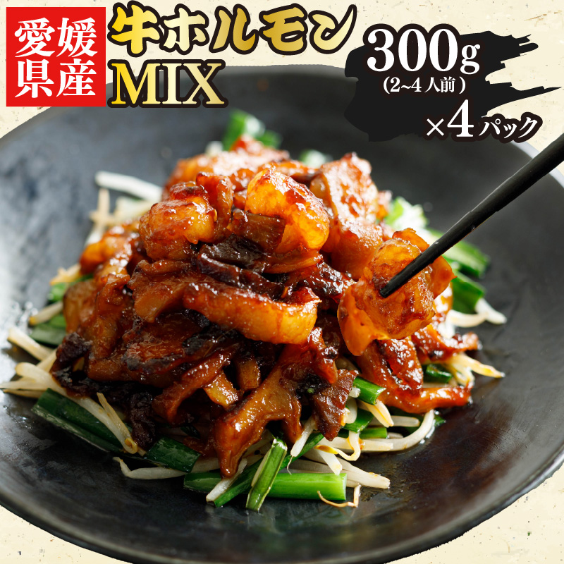 愛媛県産 牛 ホルモン MIX 300g × 4 パック ミックス ピリ辛 希少 小分け 愛媛県 松山市