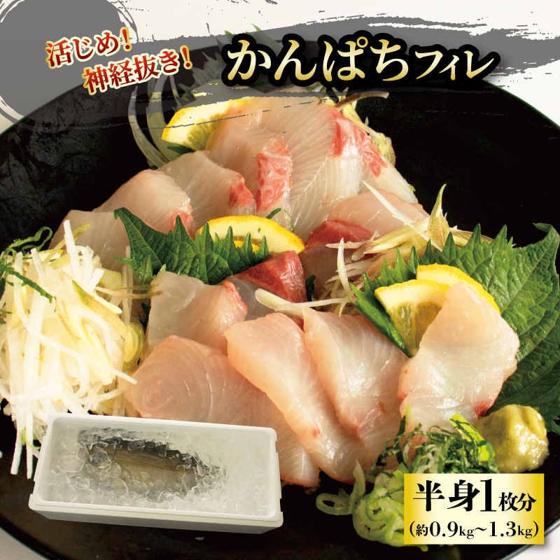  活じめ！神経抜き！かんぱちフィレ半身1枚 鮮魚 刺身 お刺身 お刺し身 魚介 海の幸 冷蔵 かんぱち カンパチ 勘八 愛媛県 松山市 半身1枚