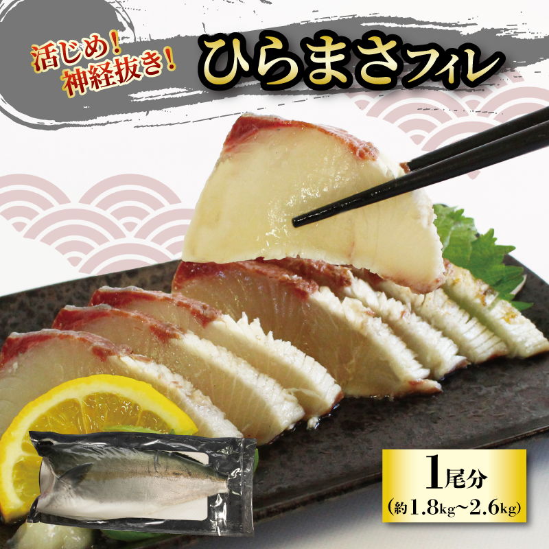 活じめ！神経抜き！ひらまさフィレ1尾分 鮮魚 刺身 お刺身 お刺し身 魚介 海の幸 冷蔵 ひらまさ ヒラマサ 愛媛県 松山市 1尾分