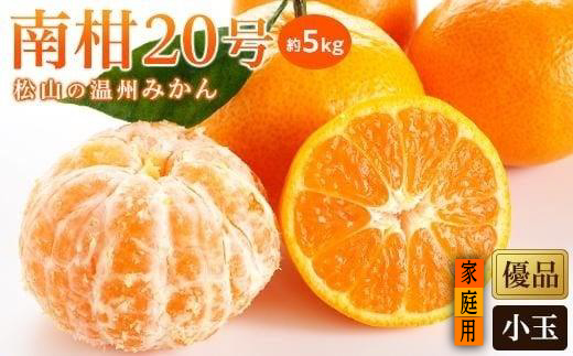 【先行予約】【2025年12月中旬から発送予定】温州みかん「南柑20号」 <家庭用(優品)・小玉> 約5kg