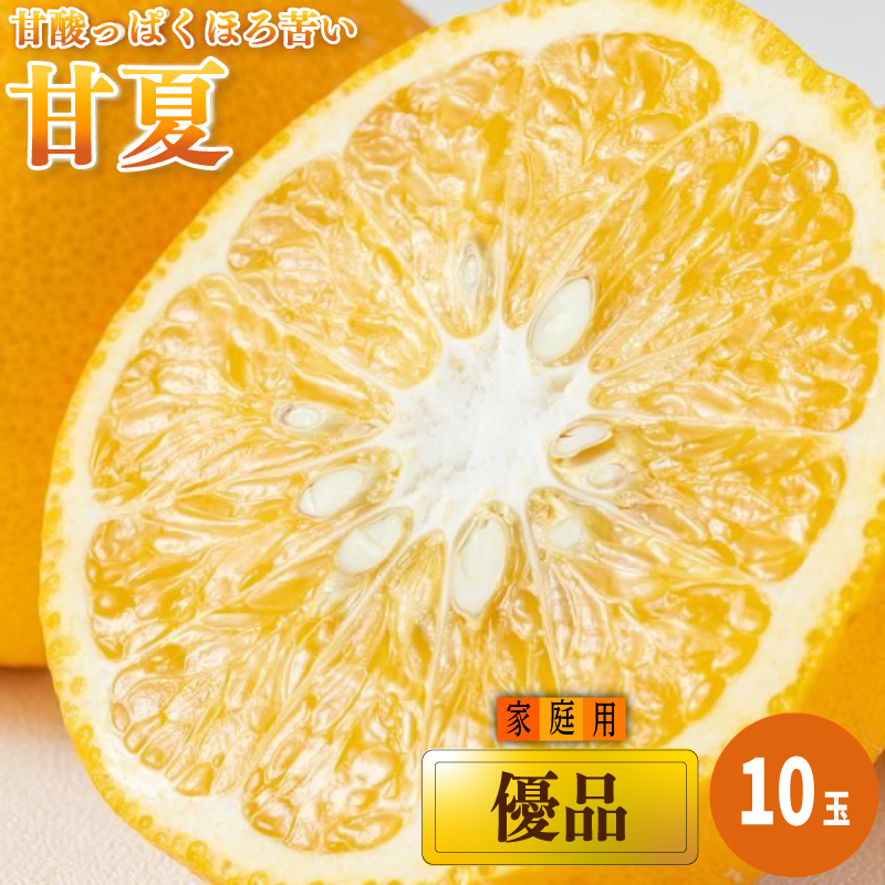 【2026年3月上旬から発送予定】甘夏　家庭用(優品)　10玉
