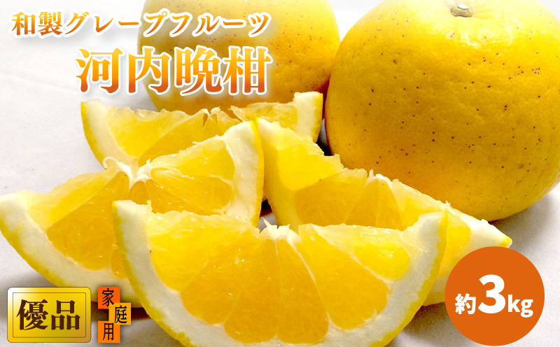 【2026年4月上旬頃から発送】 河内晩柑 優品 家庭用 約３kg 優品(家庭用) 約 3kg