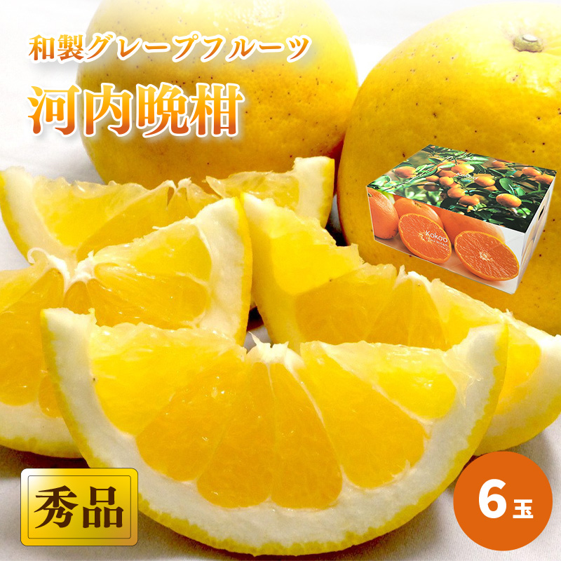 【2026年4月上旬頃から発送】 河内晩柑 秀品 ６玉 ギフトBOX入り 秀品 6玉