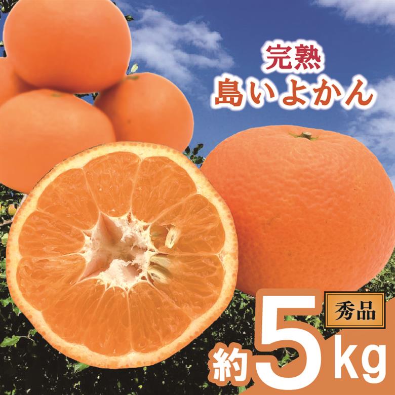 【先行予約】 完熟島いよかん (秀品) 約5kg | いよかん 伊予柑 柑橘 みかん 蜜柑 mikan 檸檬 オレンジ おれんじ かんきつ 【2026年2月上旬頃から発送予定】 愛媛県 松山市 ココオ Koko'o (秀品) 約5kg
