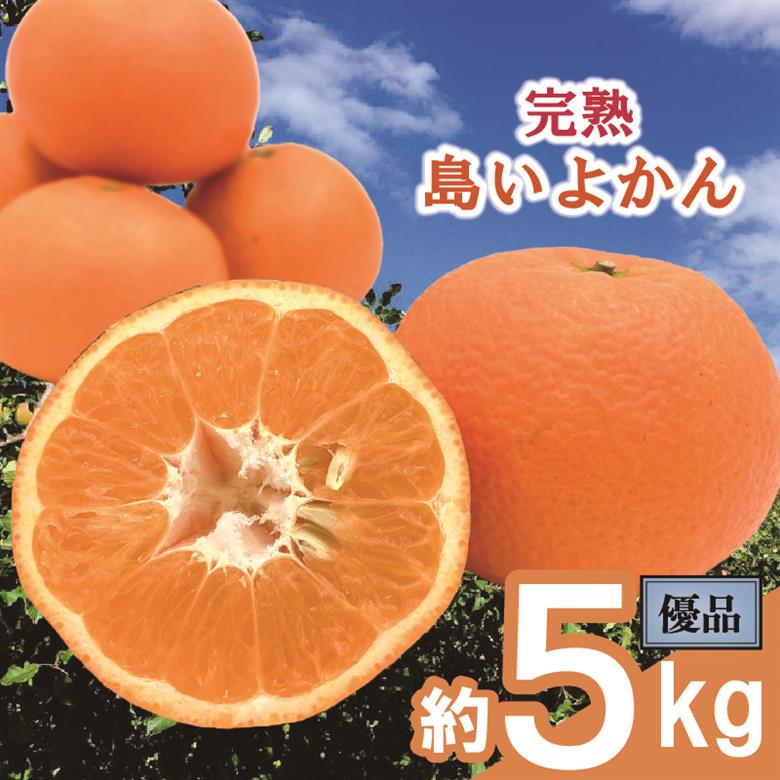 【先行予約】 完熟島いよかん 優品 (家庭用) 約5kg | いよかん 伊予柑 柑橘 みかん 蜜柑 mikan 檸檬 オレンジ おれんじ かんきつ 【2026年2月上旬頃から発送予定】 愛媛県 松山市 ココオ Koko'o 優品(家庭用)約5kg