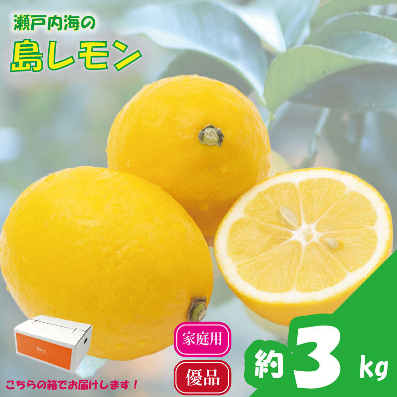 【先行予約】 瀬戸内海の島レモン (優品・家庭用) 3kg | レモン 檸檬 れもん フルーツ 【2026年3月中旬頃から発送予定】新鮮 柑橘 ふるーつ 果物 くだもの 農家直送 産地直送 期間限定 愛媛県 松山市 ココオ Koko'o