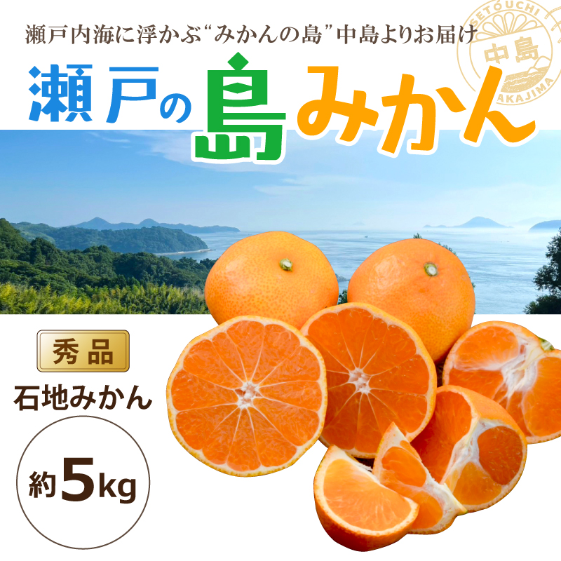 【先行予約】 瀬戸内海の島みかん (秀品)【石地みかん】約5kg | 柑橘 みかん 密柑 オレンジ フルーツ 果物 愛媛県 松山市 ココオ Koko'o  秀品 / 約5kg