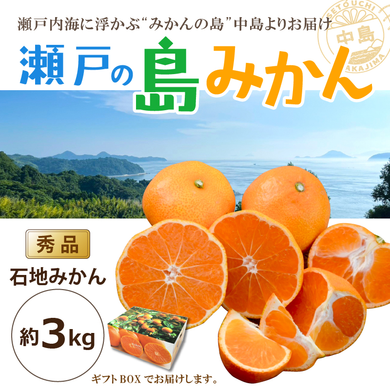 【先行予約】 瀬戸内海の島みかん (秀品・ギフトBOX入)【石地みかん】約3kg | 柑橘 みかん 密柑 オレンジ フルーツ 果物 愛媛県 松山市 ココオ Koko'o  秀品･ギフトBOX入 / 約3kg