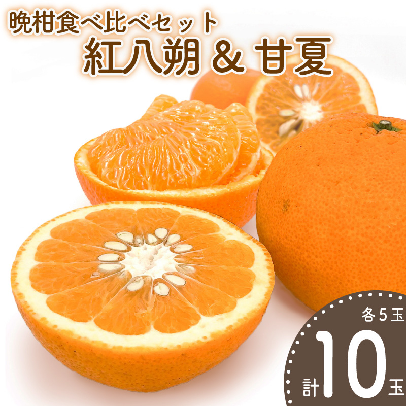 【先行予約】晩柑食べ比べセット～紅八朔&甘夏～(各5玉) | 柑橘 かんきつ 晩柑 紅八朔 甘夏 フルーツ 果物 期間限定 【2026年3月中旬頃から発送予定】愛媛県 松山市 ココオ Koko'o