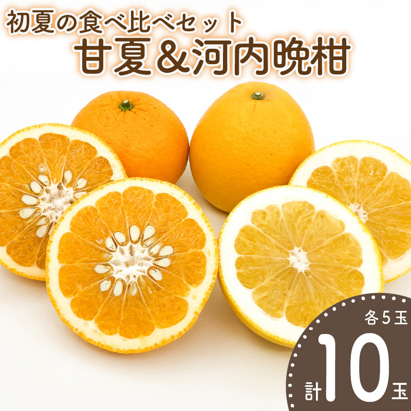 【先行予約】初夏の食べ比べセット～甘夏&河内晩柑～(各5玉) | 柑橘 かんきつ 甘夏 河内晩柑 フルーツ 果物 期間限定 【2026年4月上旬頃から発送予定】愛媛県 松山市 ココオ Koko'o