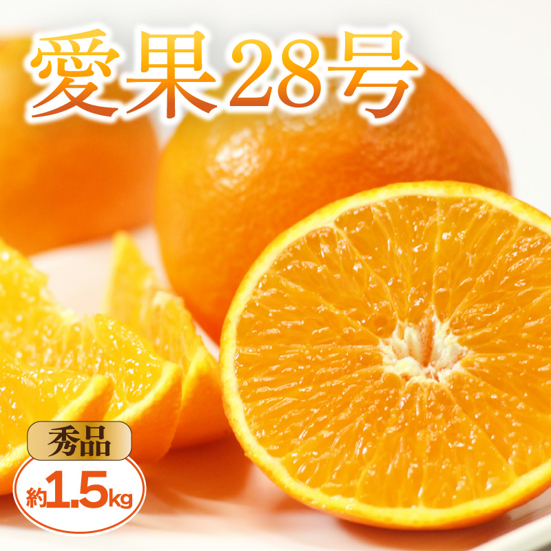 【2025年11月中旬頃から発送予定】 愛果28号  <秀品> 約1.5kg (贈答用化粧箱入り) | 紅まどんな と同品種 あいか28号 みかん 蜜柑 mikan 檸檬 オレンジ 紅マドンナ と同品種 おれんじ かんきつ 先行予約 愛媛県 松山市 ココオ Koko'o