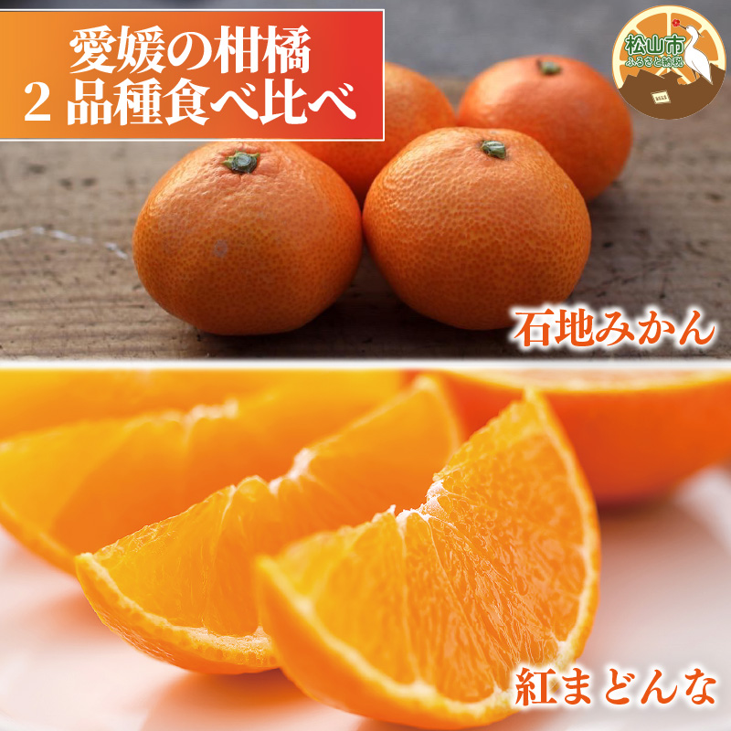 【2026年1月発送予定】 紅まどんな・石地みかん食べ比べセット 【紅まどんな 約3kg】【石地みかん(家庭用・優品) 約5kg】 | 柑橘食べ比べ みかん オレンジ 紅マドンナ 愛果 ミカン mikan 柑橘 かんきつ あいか フルーツ たべくらべ  新鮮 柑橘 ふるーつ 果物 くだもの 期間限定 愛媛県 松山市 ココオ Koko'o