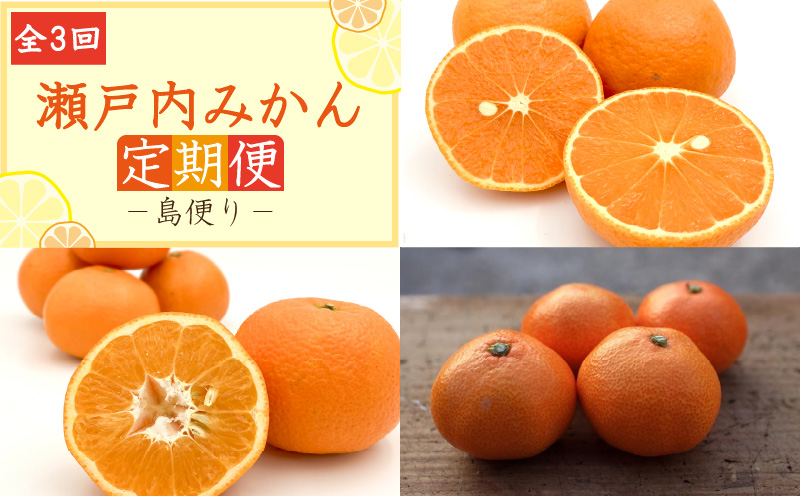 【全3回定期便】瀬戸内みかん 島便り | 石地みかん 完熟島いよかん カラマンダリン 温州みかん セット ていきびん 定期便 柑橘 みかん 蜜柑 mikan かんきつ  愛媛県 松山市 ココオ Koko'o