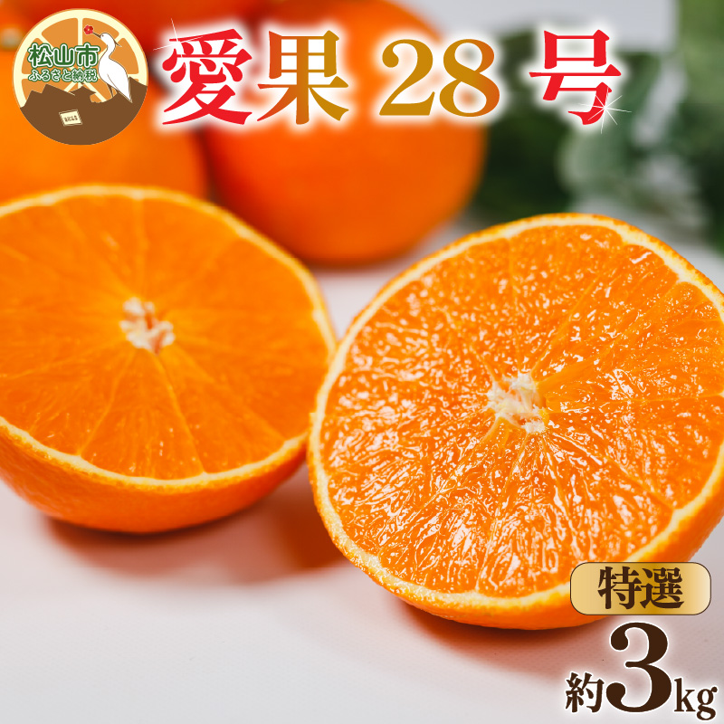 【特選】 愛果28号 (紅まどんな と同品種) 約3kg 【12月上旬~1月中旬頃発送予定】 | あいか 愛果28号 紅まどんな と同品種 みかん 柑橘 アイカ ミカン かんきつ 果物 フルーツ おすすめ 蜜柑 送料無料 愛媛県 松山市 【特選】約3kg / 16,000円