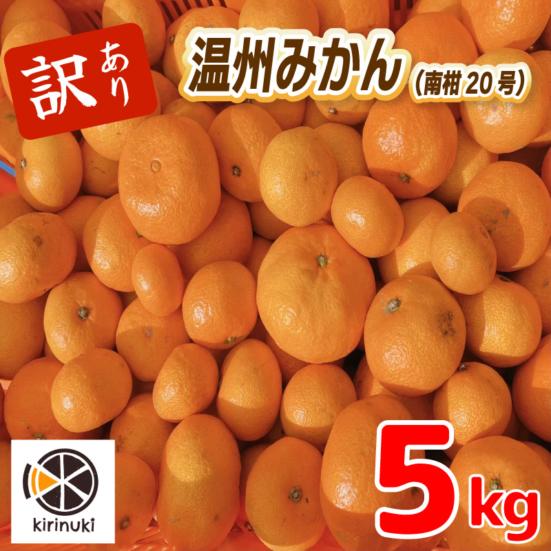 【12月中旬から発送予定】 温州みかん 5kg （ 訳あり ）