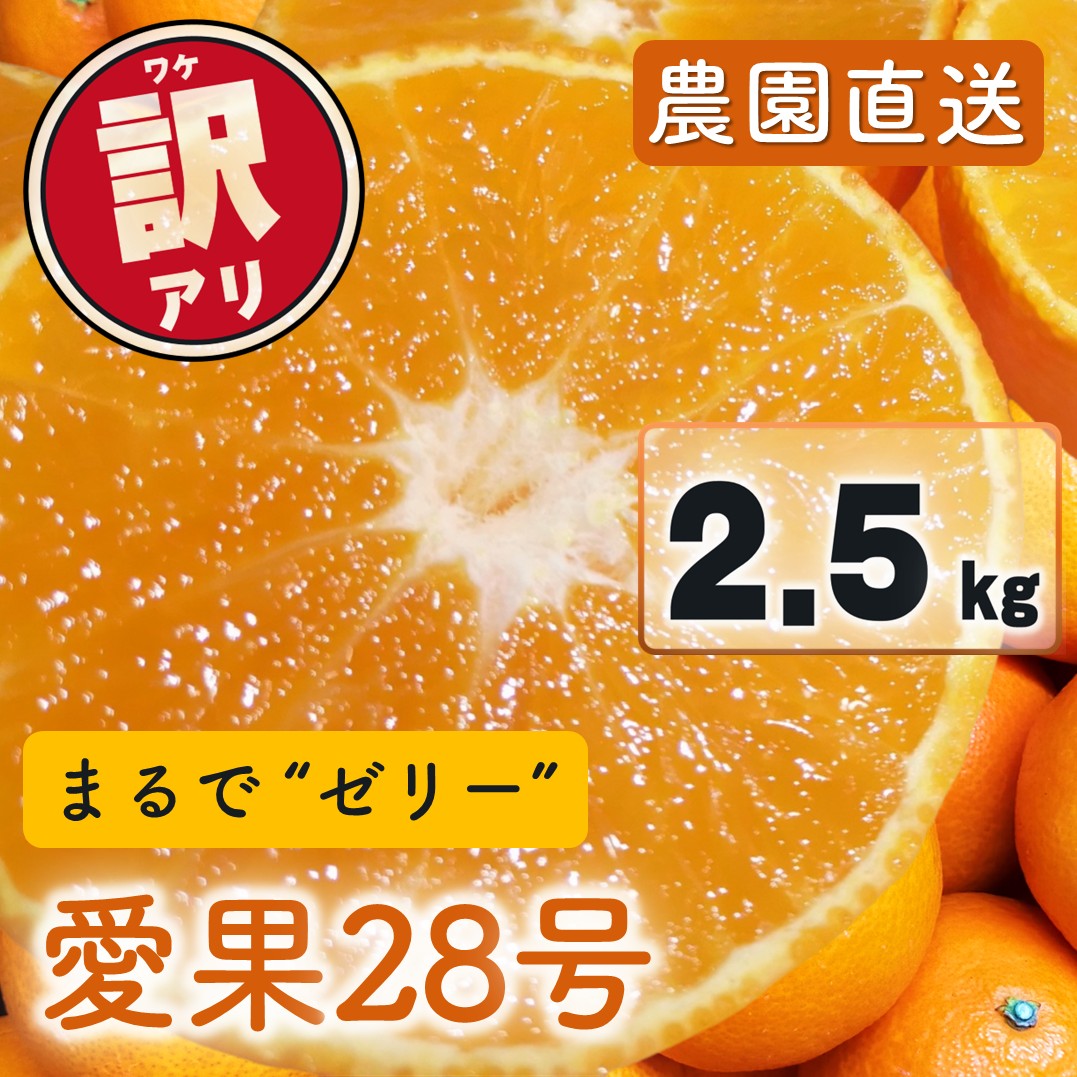 愛果28号 (紅まどんな と同品種) 訳あり 家庭用 2.5kg (約6～15個) 光センサー選別 【11月下旬頃より順次発送予定】 訳あり 不揃い 柑橘 果物 フルーツ あいか みかん 松山市 愛媛県 約2.5kg