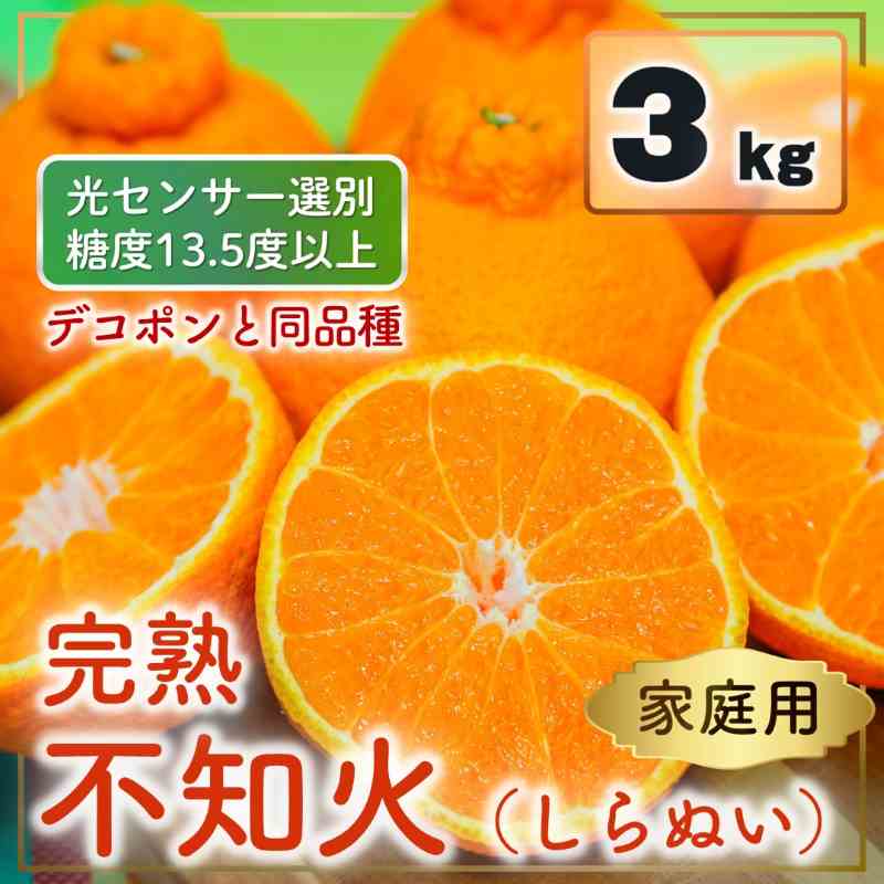 【先行予約】 家庭用 不知火（しらぬい）3kg 光センサー選別 糖度13.5度以上 【2026年2月～3月発送】