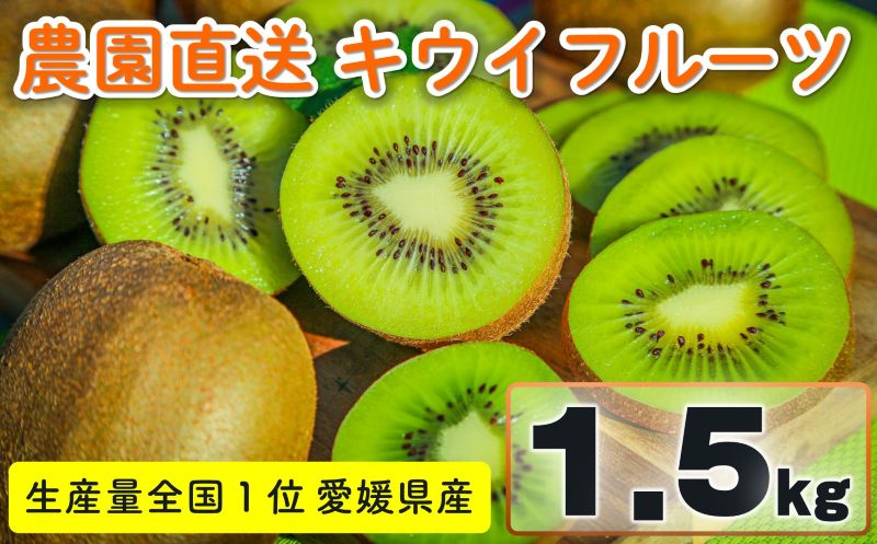 家庭用 キウイフルーツ ヘイワード 約1.5kg 愛媛県産 【1月上旬~2月下旬発送】| 先行予約 キウイフルーツ ヘイワード 農園直送 家庭用 フルーツ キウイ 果物 グリーンキウイ 愛媛県 松山市 おすすめ 人気