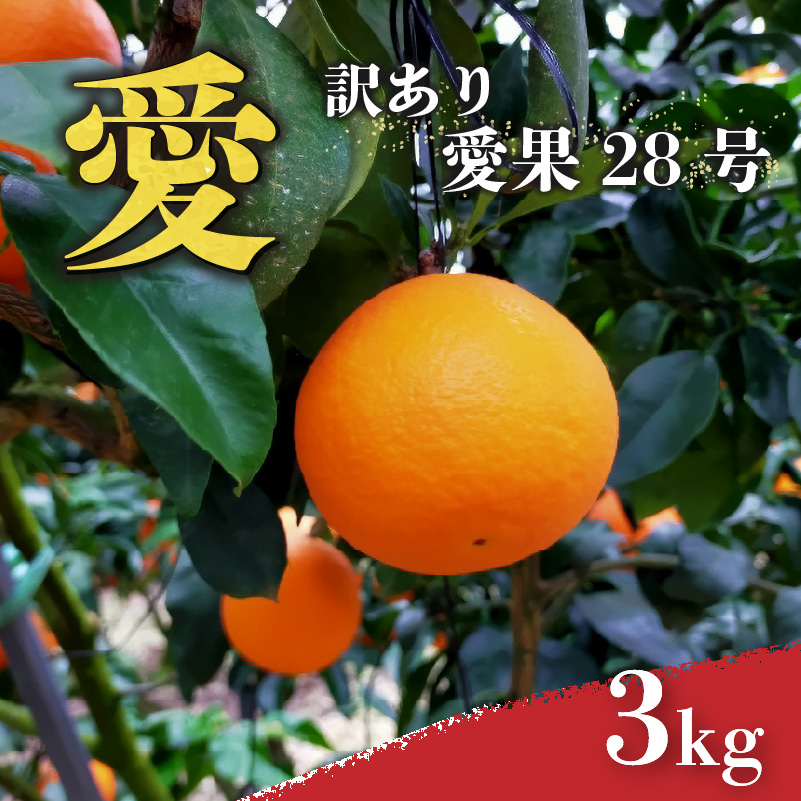 愛媛 みかん 愛果28号 訳あり ご家庭用 3kg あいか 【先行予約 2025年12月上旬から発送】 |  紅まどんな と同品種 柑橘 みかん まどんな ワケアリ 柑橘 みかん 果物  おすすめ 高級 人気 お取り寄せ グルメ ギフト ご当地 送料無料 愛媛県 松山市 訳あり 家庭用 3kg