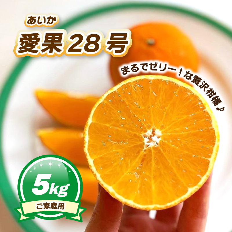 ご家庭用 愛果28号 (紅まどんな と同品種) 5kg 【2025年11月下旬ごろ発送予定】 5kg