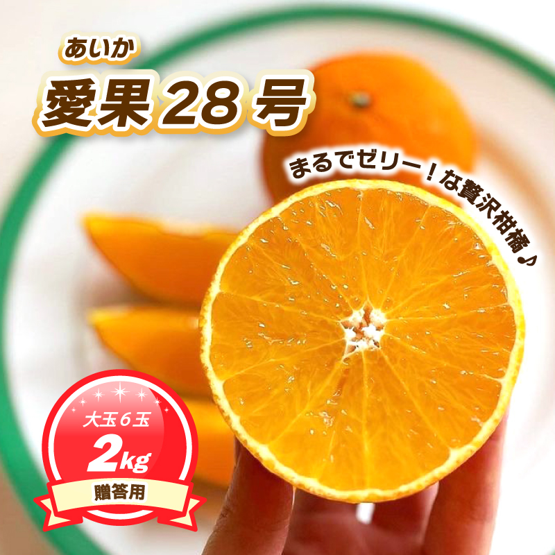 【11月下旬~1月上旬頃発送予定】  贈答用 愛果28号 2kg 大玉6玉入り 2kg/大玉6玉入り