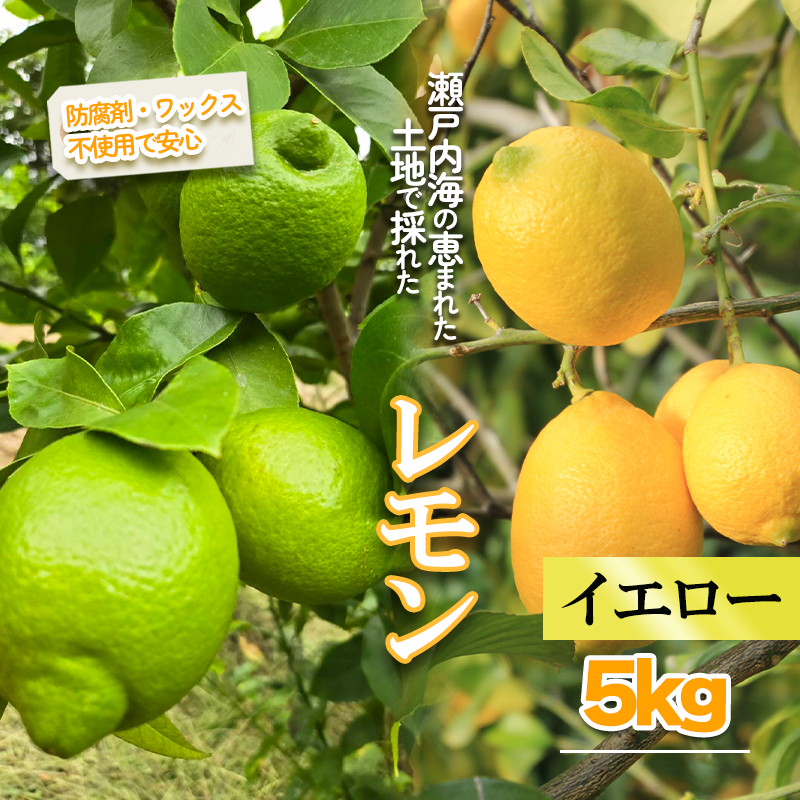 【2026年1月より順次発送】イエローレモン 約5kg ｜果物 くだもの フルーツ レモン れもん 檸檬 柑橘 防腐剤不使用 ワックス不使用 イエローレモン いえろーれもん 国産 愛媛県産 国産レモン イエローレモン 約5kg
