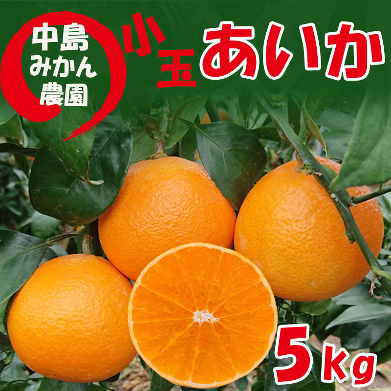 【2025年12月から順次発送】 愛果28号 (紅まどんな と同品種) 小玉 5kg(30～40個) ｜紅まどんな と同品種 みかん 愛果 蜜柑 松山市産みかん 柑橘 ミカン 蜜柑 みかん 果物 オススメみかん フルーツ あいか みかん 松山 愛媛 5kg