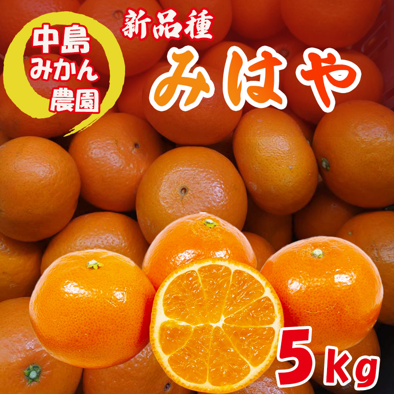 みはや 家庭用5kg 新品種 紅いダイヤ 愛媛中島産 5kg