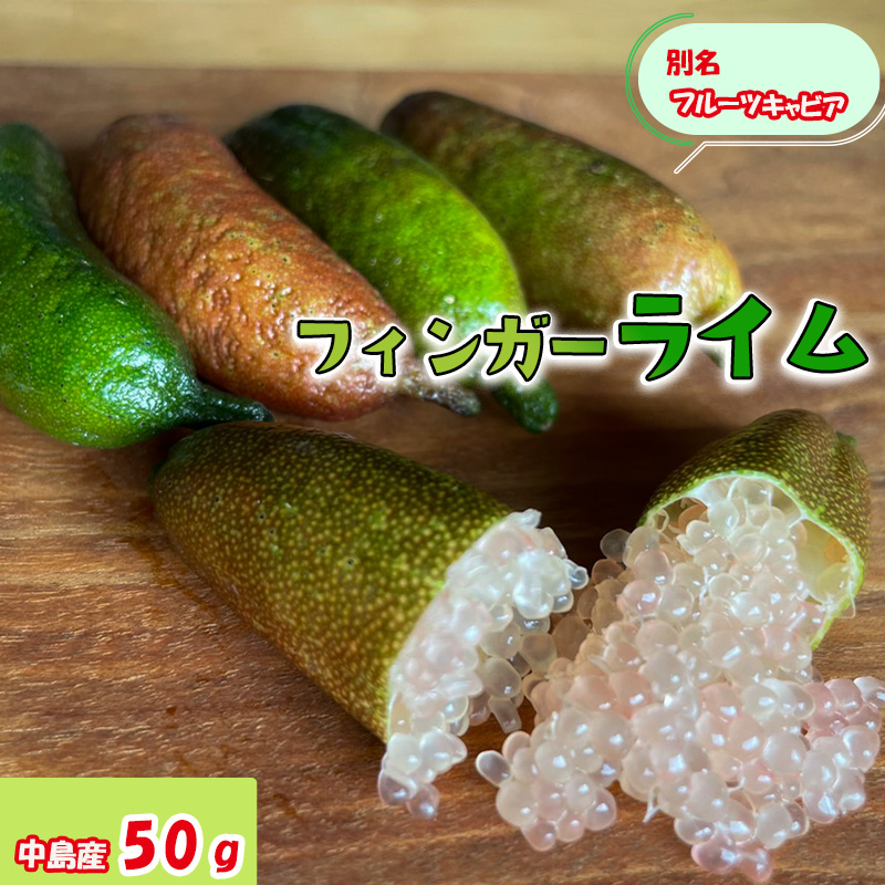 【順次発送中】フィンガーライム 50g 愛媛県 中島産| ライム 酸味 さっぱり 添え物 料理 チューハイ アルコール 炭酸 飲み物 飲料 産地直送 国産 愛媛 松山