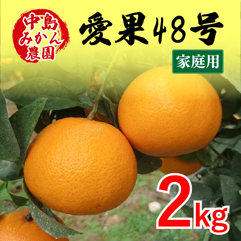 【2026年3月から発送予定】 愛果48号 家庭用 2kg | あいか 家庭用 紅プリンセス と同品種 先行予約 高級 蜜柑 ミカン みかん ジューシー 甘い  柑橘  人気 お取り寄せ  期間 数量 限定 愛媛 松山 中島みかん農園