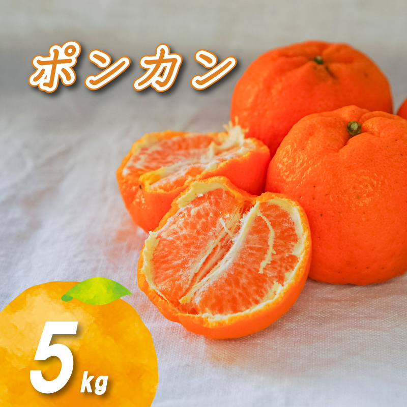【2026年2月中旬から順次発送】低農薬栽培ポンカン 5kg | 数量選択可 ぽんかん ポンカン みかん ミカン 蜜柑 柑橘 数量限定 愛媛県産 松山市 中島 低農薬 愛媛県 5kg ¥10,000