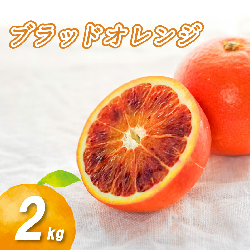 【2026年1月下旬より発送】ブラッドオレンジ 2kg | 数量選択可 みかん ミカン 蜜柑 柑橘 数量限定 愛媛県産 松山市 中島 低農薬 愛媛 ふるさと納税 2kg ¥7,000